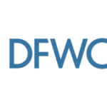 Dfw Consulting Group Inc.